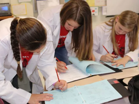 Students working on a school project.